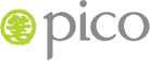 Pico